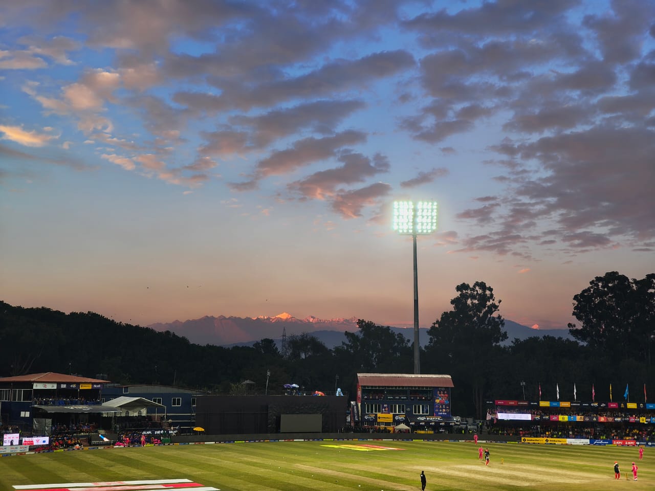npl_stadium_night.jpeg